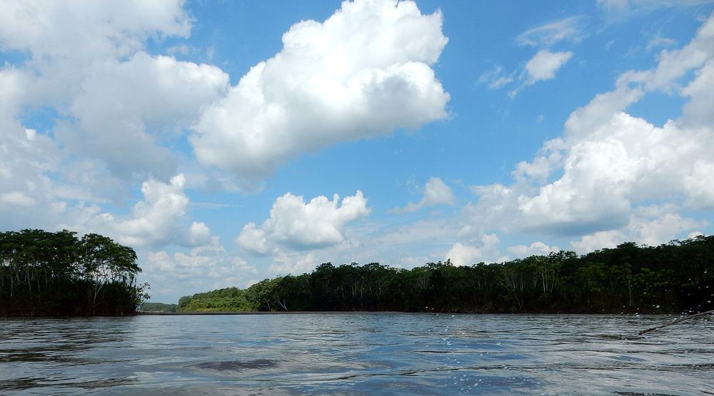 Río amazónico visto desde la embarcación en marcha